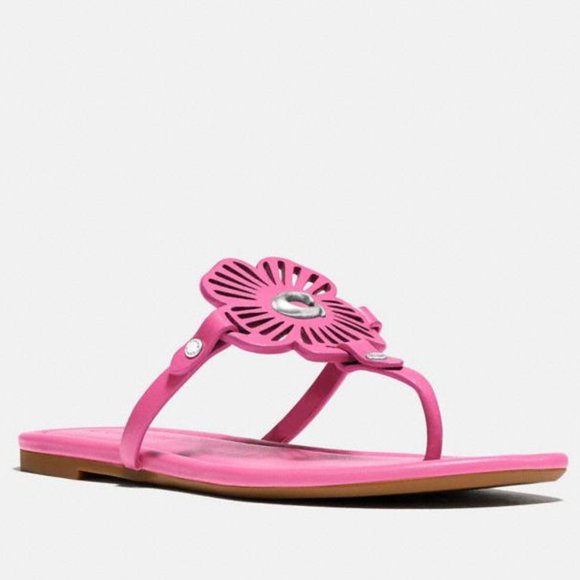 🌸 Coach JULIA SANDAL PETUNIA 6.5 7 🌺 - Picture 1 of 11